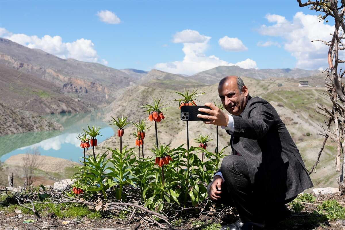 Ters laleler açtı, koparmanın cezası ise dudak uçuklattı 3